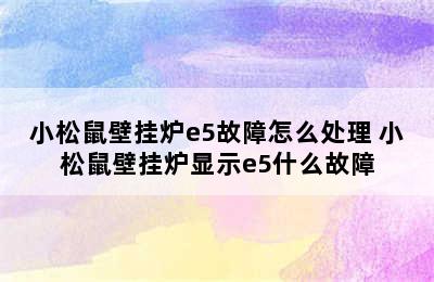 小松鼠壁挂炉e5故障怎么处理 小松鼠壁挂炉显示e5什么故障